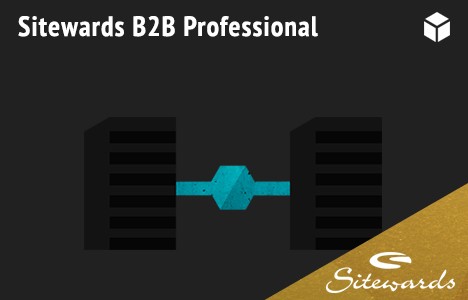 sitewards-b2b-professional_1