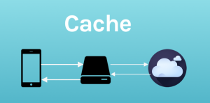 private cache magento 2.1