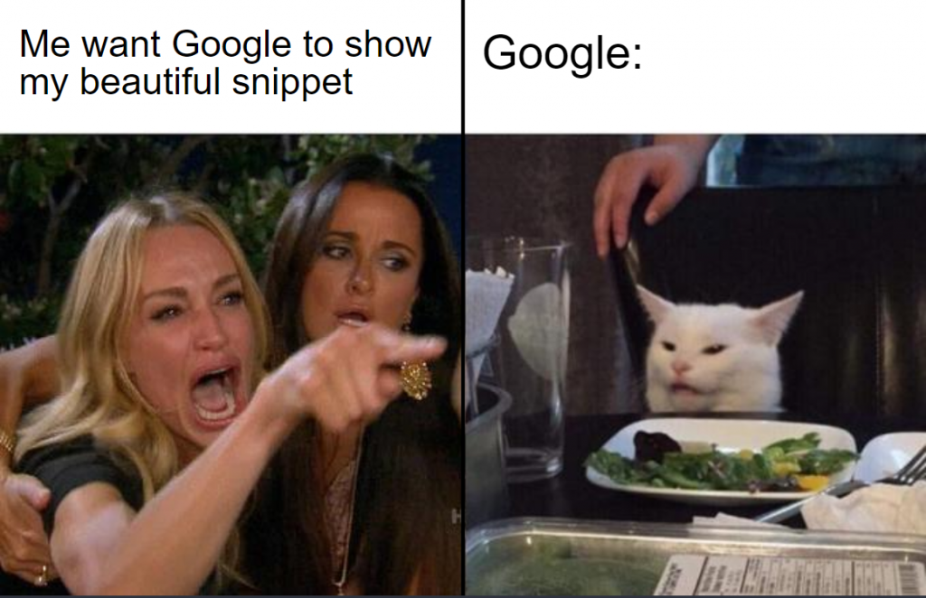 google snippet dilemma