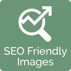 seo friendly image module