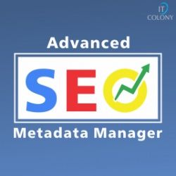 metadata manager