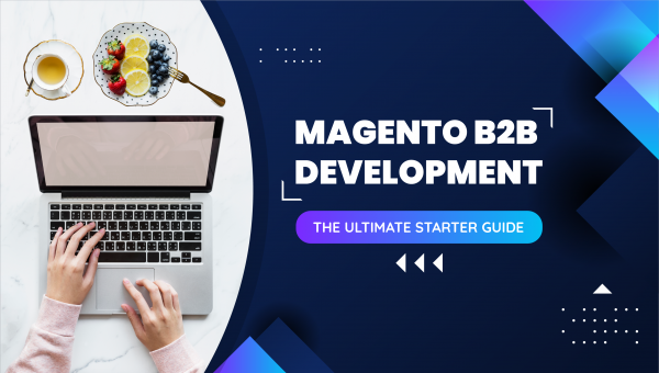 Magento B2B Development: A New Approach Of Business Starters