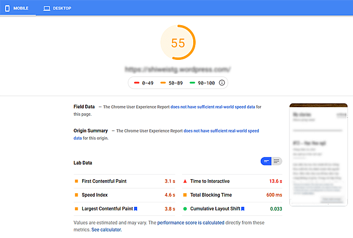 google-page-speed-insight