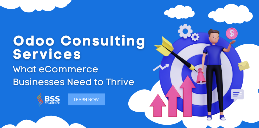 BSS Commerce Odoo Consulting Services