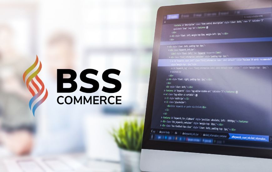 BSS-Commerce-offshore-web-development-team