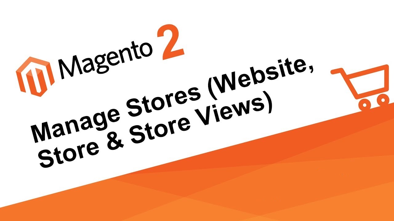 Magento website vs store vs store view