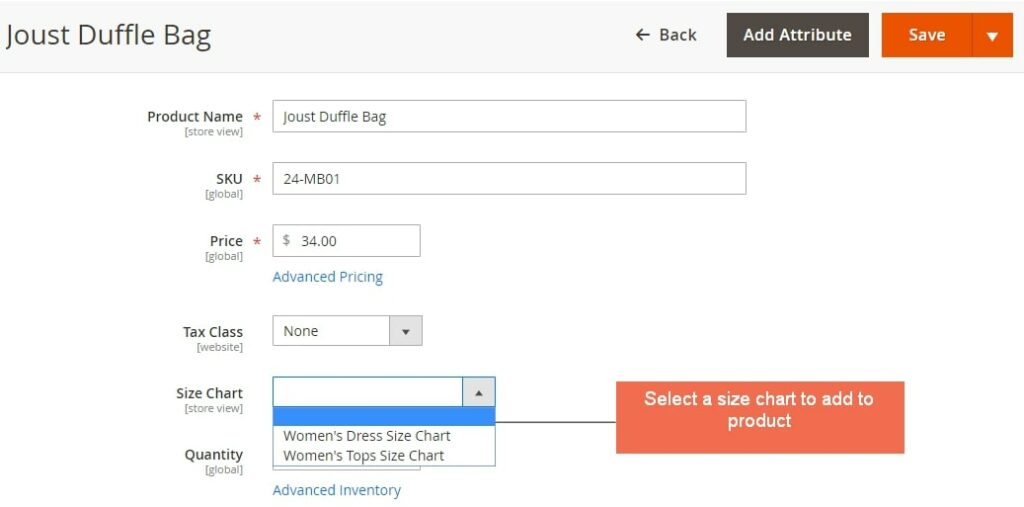 Assign a Size Chart to Specific Product in Magento 2