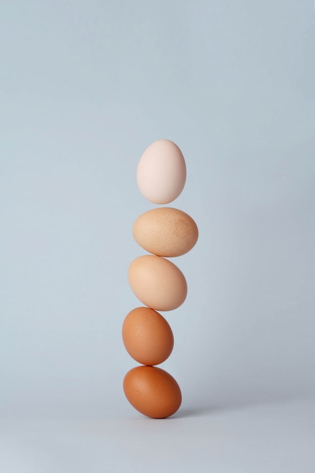 egg-logic