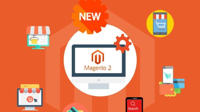 magento-emergency-support