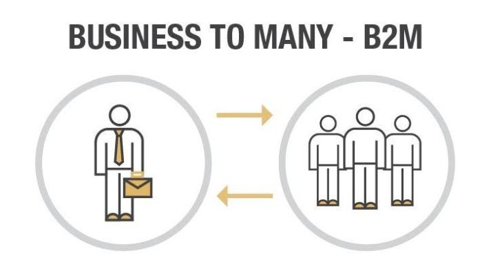 business-to-many-b2m