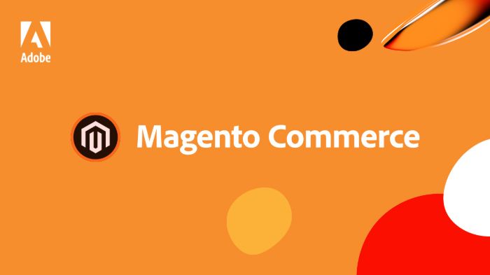 Magento  is one of Wholesale eCommerce Platforms for B2B Business 2023