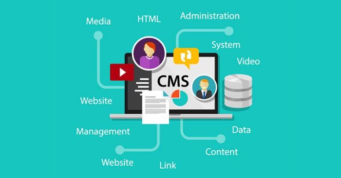 what-is-CMS