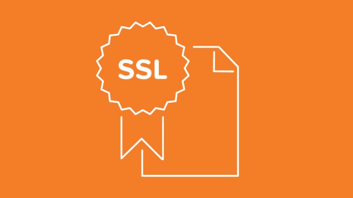 ssl-certificate-for-magento