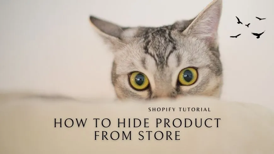 shopify-hide-product-from-store