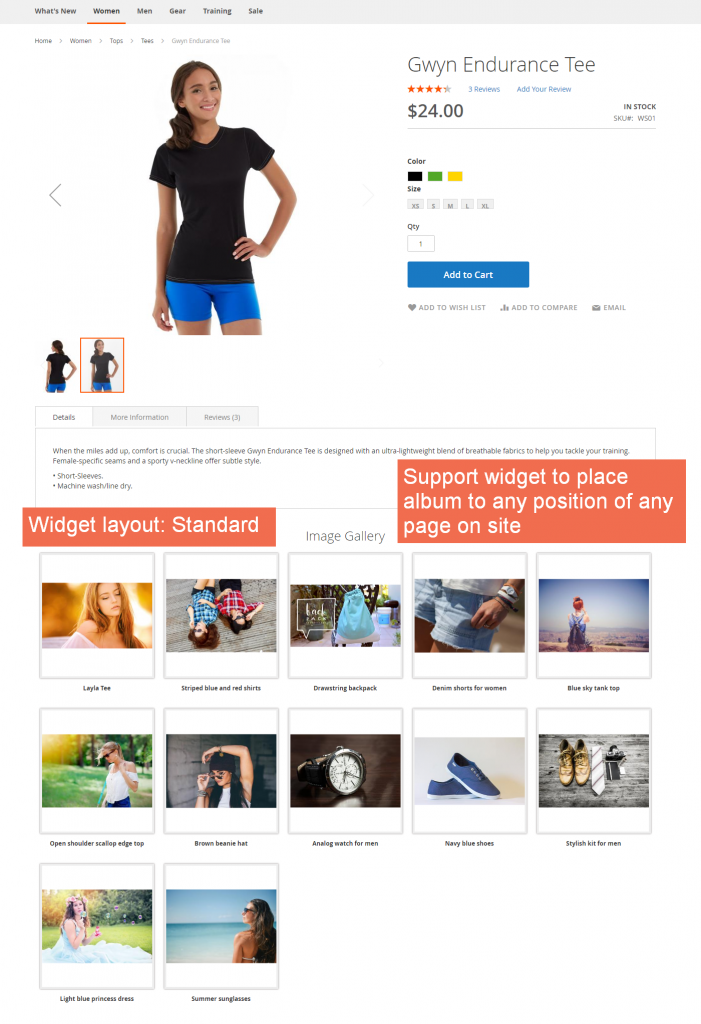 Magento-2-Gallery-extension-widget-support