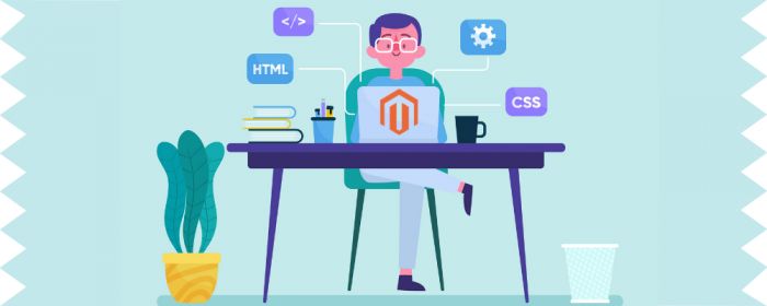 Magento 2 developers