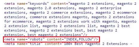 Magento 2 robots meta tag