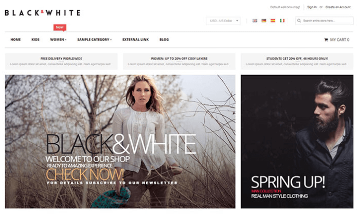 blackwhite-responsive-magento-2-b2b-theme