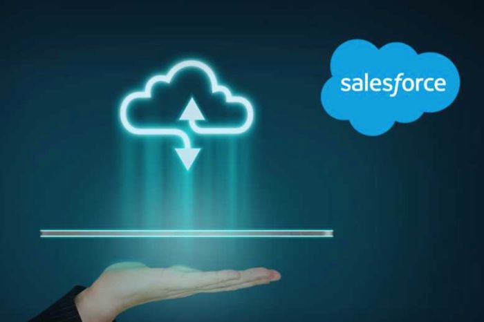 salesforce-b2b-ecommerce-examples