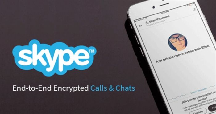 skype-businesses-that-sell-to-other-businesses-b2b-ecommerce-examples