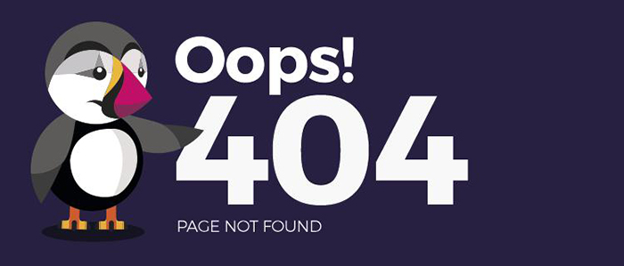 404-error-pages-that-can-be-redirected