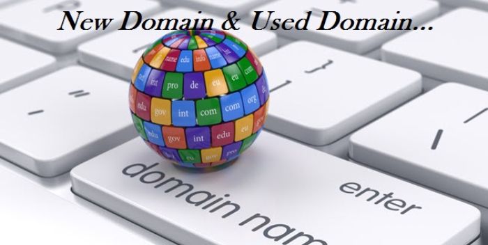 brand-new-domain