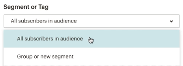 segment-or-tag-mailchimp-for-magento-2