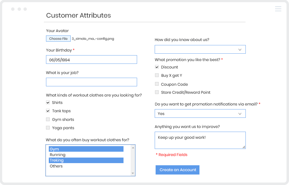 magento 2 b2b b2c - customer attributes