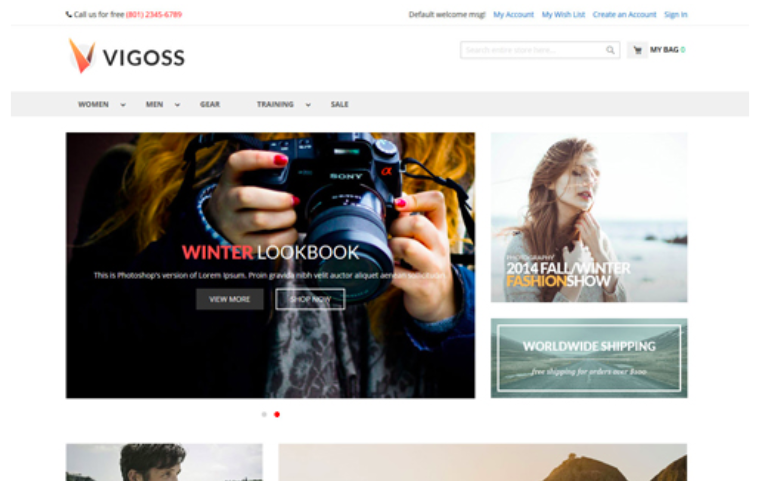 ves-vigoss-theme-free