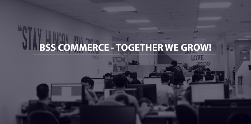 BSS Commerce Odoo Consulting Services