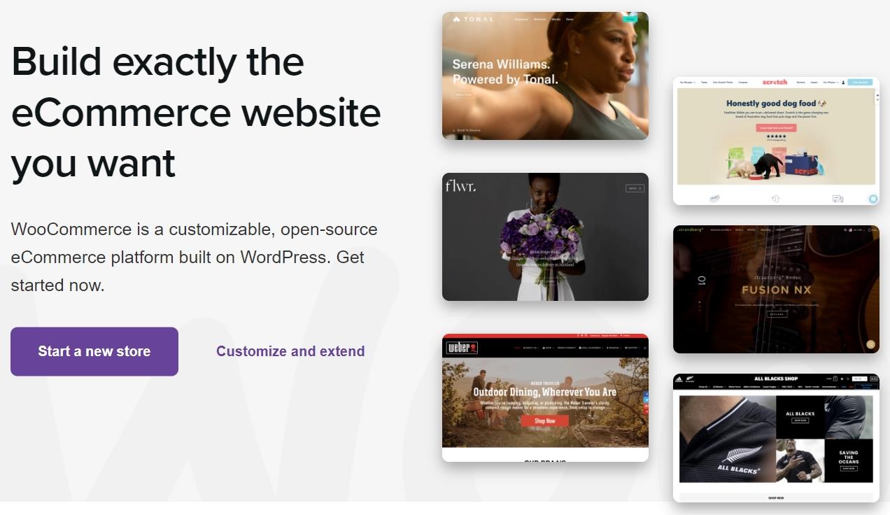 Woocommerce is one of the top Magento alternatives 