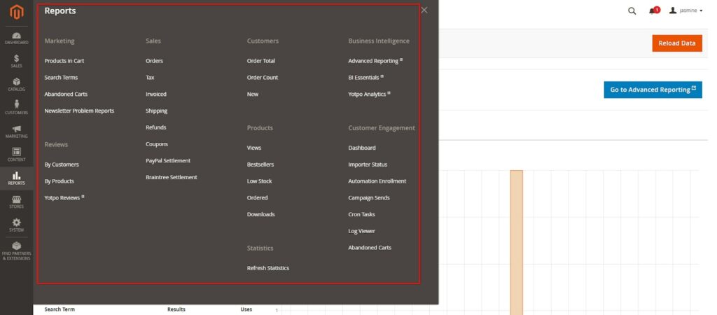 Magento Reports Tab