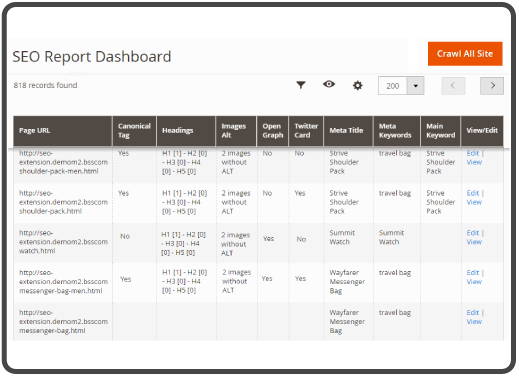 seo report