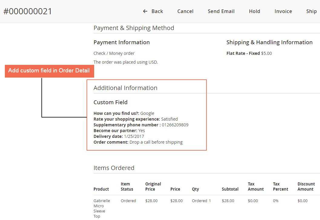 display checkout custom fields on Magento 2 order detail page