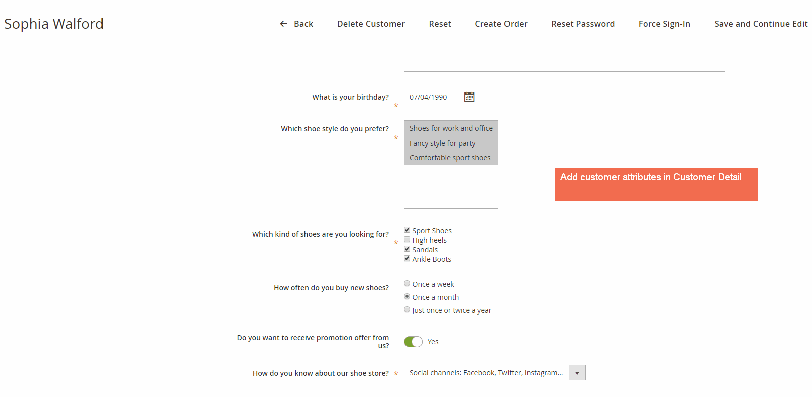 Magento 2 Customer Attributes in Customer Detail Page