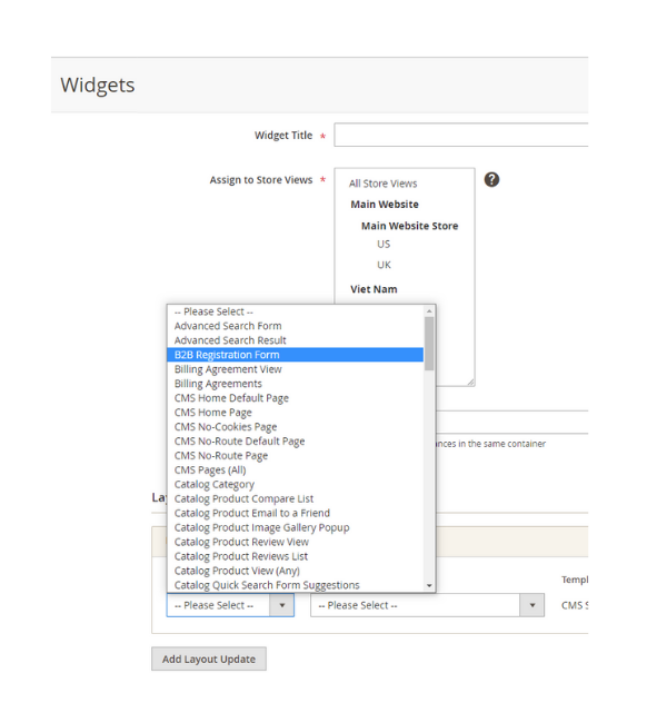 Add B2B Registration Form As A Page Type For Creating Widget