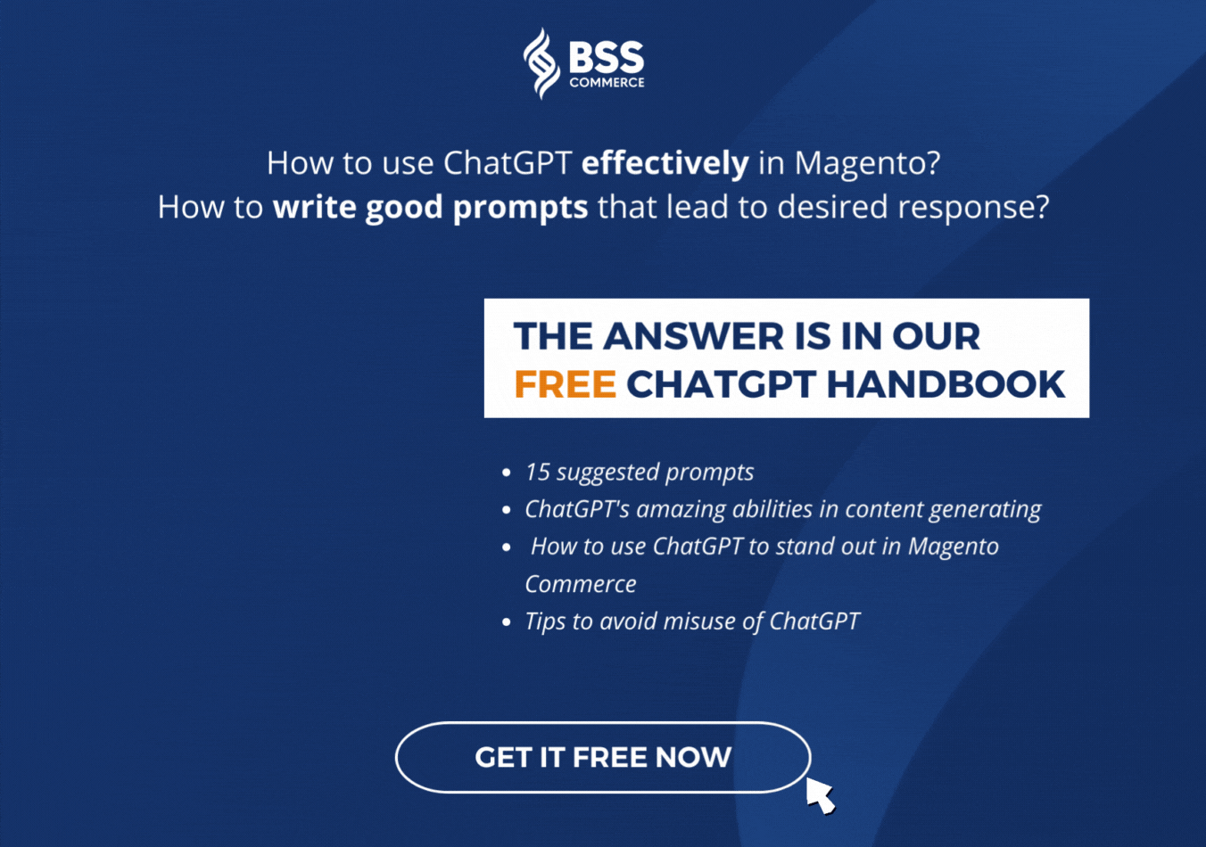 BSS-ChatGPT-Handbook