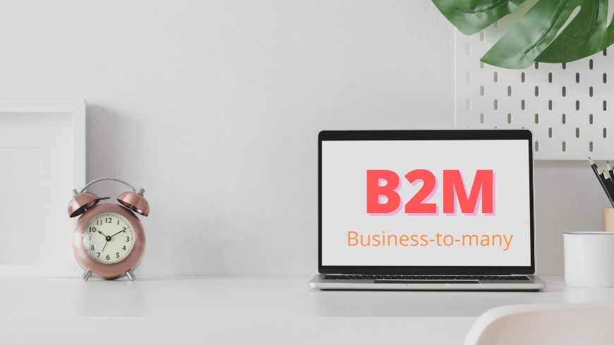 b2m-company-examples