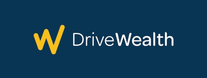 drivewealth-b2b2c-ecommerce-example