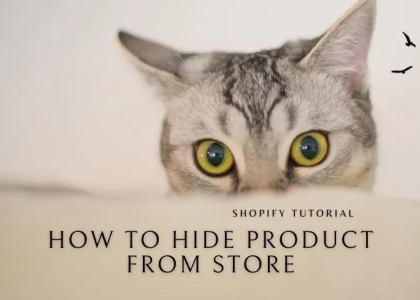 shopify-hide-product-from-store