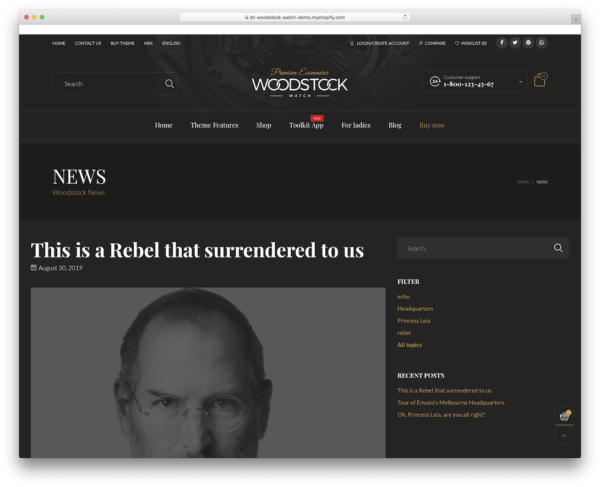 An example of Woodstock Shopify blog theme