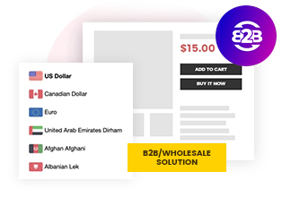 Shopify B2B/ Wholesale Custom pricing