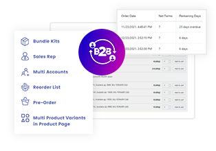 Shopify B2B/Wholesale customer portal