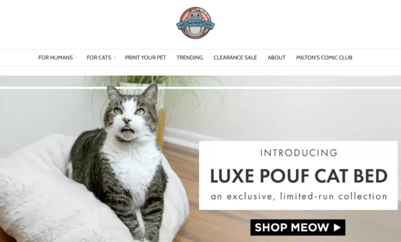 Meowingtons - top Shopify dropshipping store