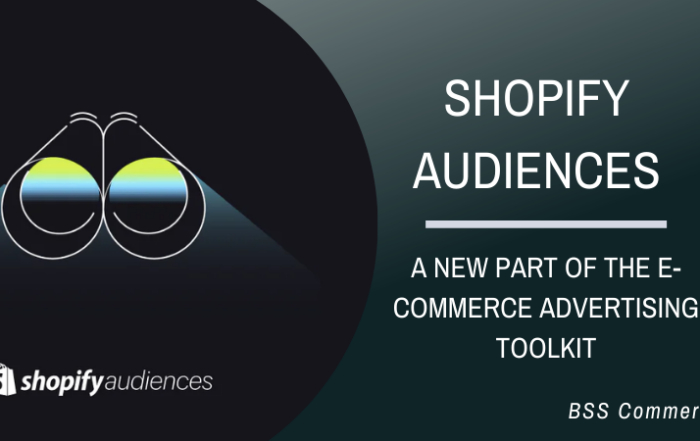 shopify-audiences-app