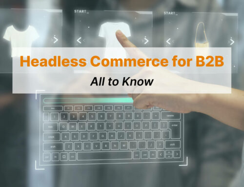 Headless Commerce for B2B Shopify: Is It Worth to Try?