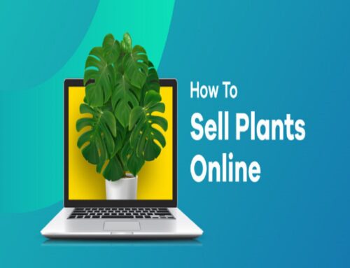 How To Sell Plants Online: Step-by-Step Guides