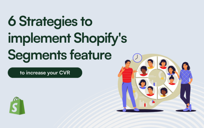 Shopify's Segments feature